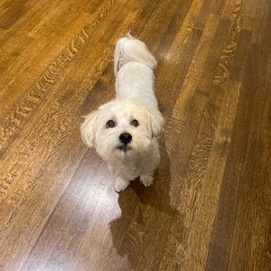 Meet your Posher, Marnie